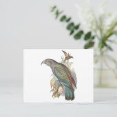 Kea Briefkaart (Staand voorkant)