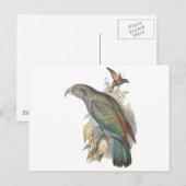 Kea Briefkaart (Voorkant / Achterkant)