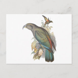 Kea Briefkaart