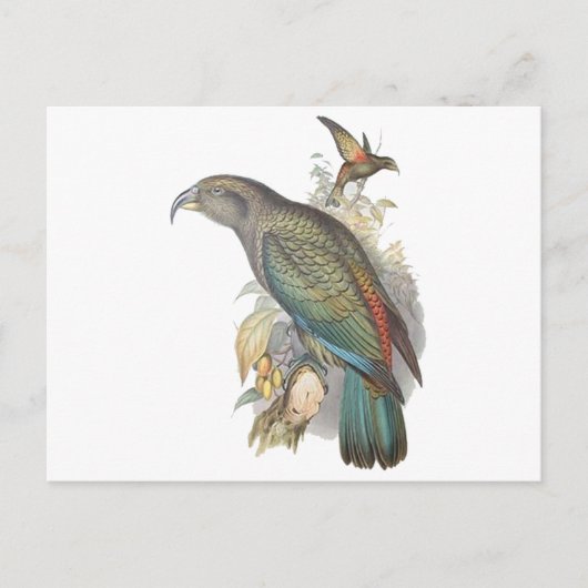 Kea Briefkaart (Voorkant)