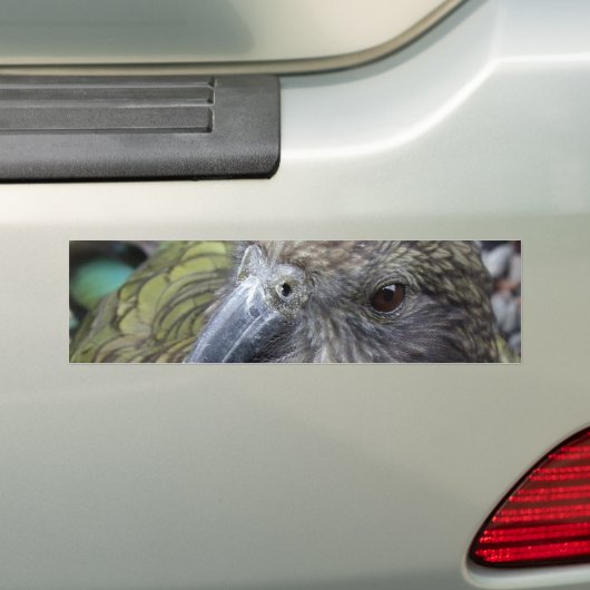 Kea Bumpersticker (Op auto)