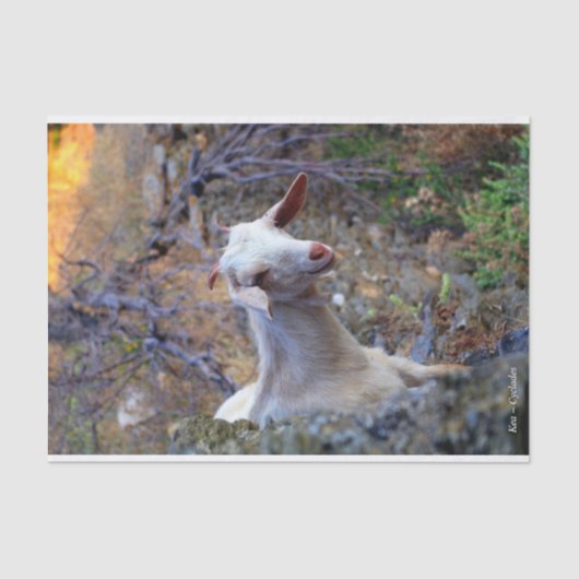 Kea - Cyclades Tissuepapier (Voorkant)