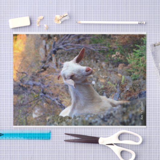 Kea - Cyclades Tissuepapier (Craft)