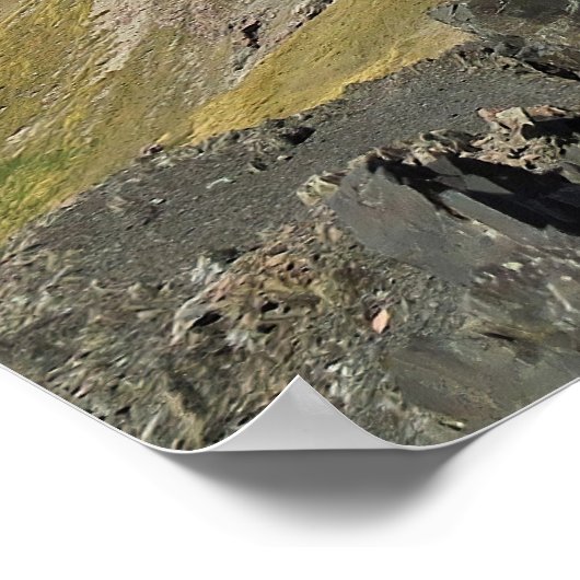 Kea in Arthur's Pass Poster (Hoek)