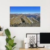 Kea in Arthur's Pass Poster (Thuiskantoor)