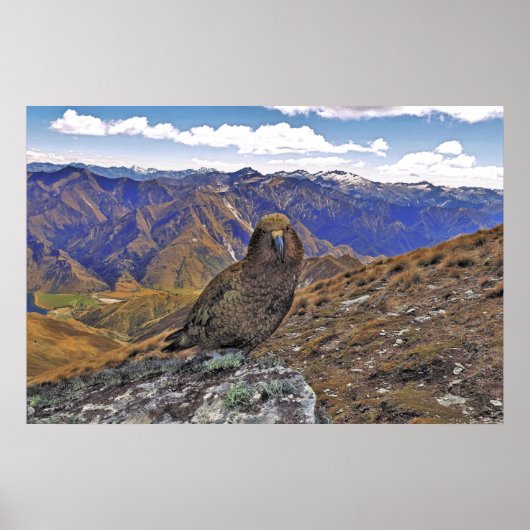 Kea Kountry Poster (Voorkant)