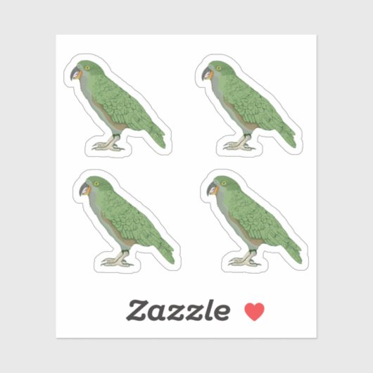 Kea New Zealand Bird Sticker (Vel)