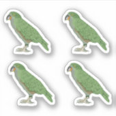 Kea New Zealand Bird Sticker (Voorkant)
