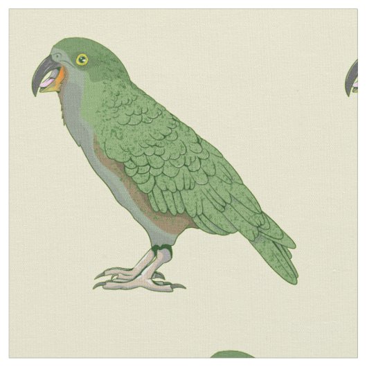 Kea New Zealand Bird Stof (Close Up)