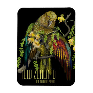 Kea New Zealand Mountain Parrot Magneet