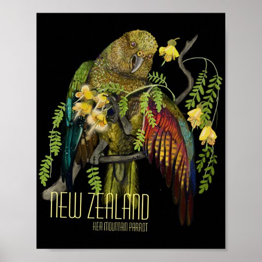 Kea New Zealand Mountain Parrot Poster (Voorkant)