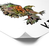 Kea new Zealand Native Bird Poster (Hoek)