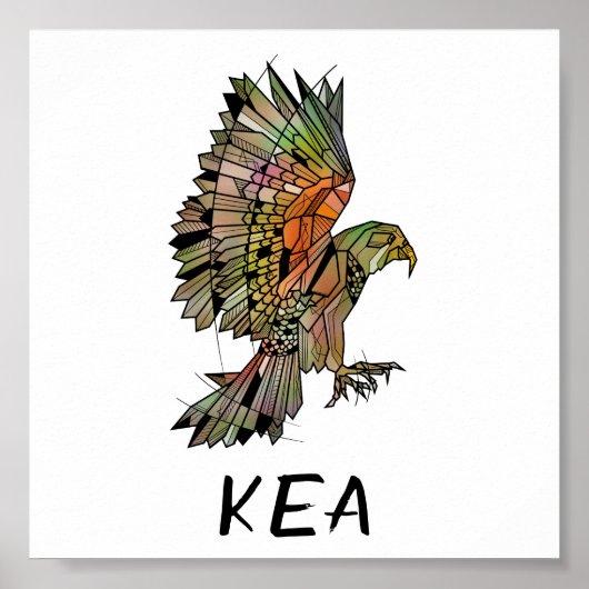 Kea new Zealand Native Bird Poster (Voorkant)