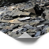 Kea Pair op Avalanche Peak Poster (Hoek)