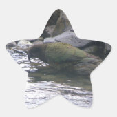 Kea Ster Sticker (Voorkant)