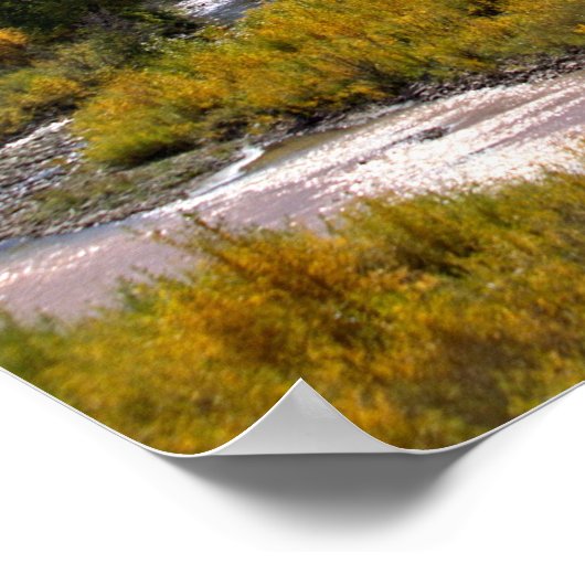 Kebler Pass, Colorado Poster (Hoek)