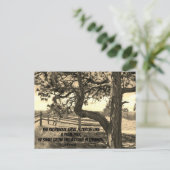 Kedars of Libanon Bijbel Verse Psalm 91:12 Briefkaart (Staand voorkant)