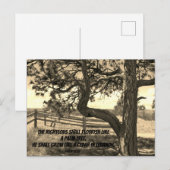 Kedars of Libanon Bijbel Verse Psalm 91:12 Briefkaart (Voorkant / Achterkant)