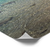 Ke'e Beach, Kaua'i Poster (Hoek)