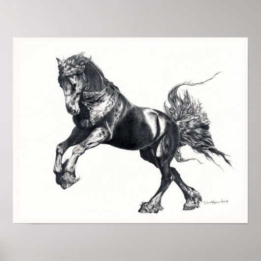 Keegan Jewel Friesian Stallion Poster (Voorkant)