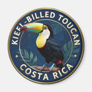 Keel-Billed Toekan Costa Rica Tropische Vogel Magneet