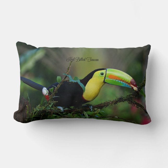 Keel Billed Toucan Bird Kussen (Voorkant)