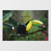 Keel Billed Toucan Raamsticker (Vel)