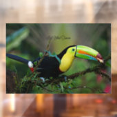 Keel Billed Toucan Raamsticker (Vel 2)