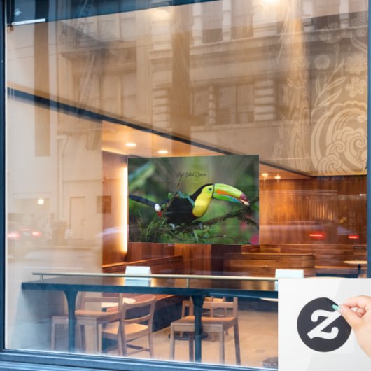 Keel Billed Toucan Raamsticker (Cafe Raam)