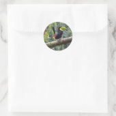 Keel Billed Toucan Ronde Sticker (Tas)