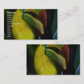 Keel-naveltoucan Visitekaartje (Voorkant / Achterkant)