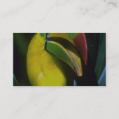 Keel-naveltoucan Visitekaartje (Achterkant)