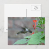 keelkeelkegel Briefkaart (Voorkant / Achterkant)