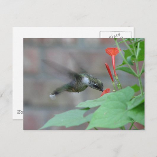 keelkeelkegel Briefkaart (Voorkant / Achterkant)