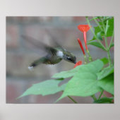 keelkeelkegel Poster (Voorkant)