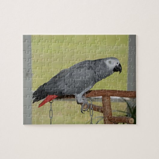 Keen Congo African Gray Parrot Legpuzzel (Horizontaal)