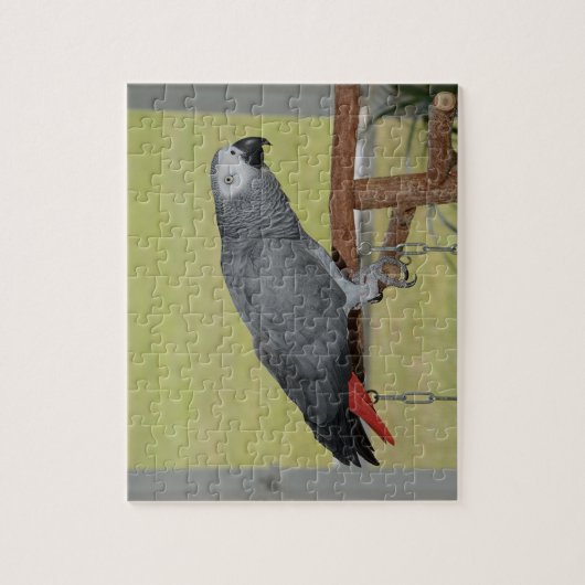 Keen Congo African Gray Parrot Legpuzzel (Verticaal)