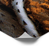 KEEN ELIZABETH 1 CORONATIE 1559 POSTER (Hoek)