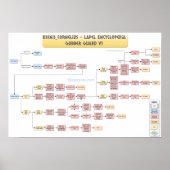 Keenan Cornelius - Gubber Guard v1 Poster (Voorkant)