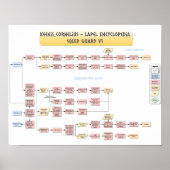 Keenan Cornelius - Squid Guard v1 Poster (Voorkant)