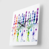 Keencellen en bipolaire neuronen van de retina vierkante klok (Hoek)