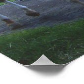 Keeneland Horse Print (Hoek)