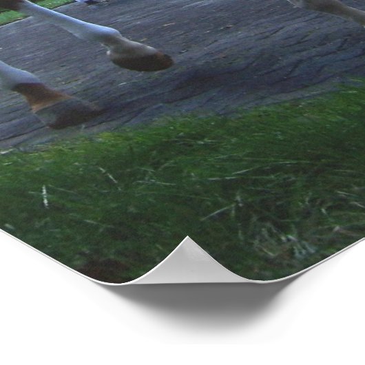 Keeneland Horse Print (Hoek)