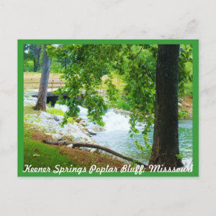Keener Springs Poplar Bluff, Missouri Briefkaart
