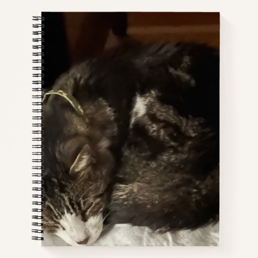 Keeno Perfect Circle Spiral Notitieboek (Voorkant)