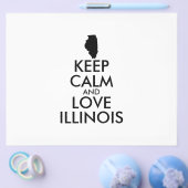 KEEP CALM EN LIVE ILLINOIS FLYER (Enkel)