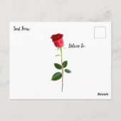Keep in Touch | Beautiful Woman with Red Rose Briefkaart (Achterkant)
