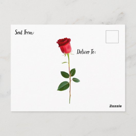 Keep in Touch | Beautiful Woman with Red Rose Briefkaart (Achterkant)