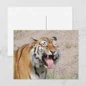 Keep Smiling Postcard Briefkaart (Voorkant / Achterkant)