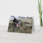 Keep Stickin' Around Bedankkaart (Voorkant)